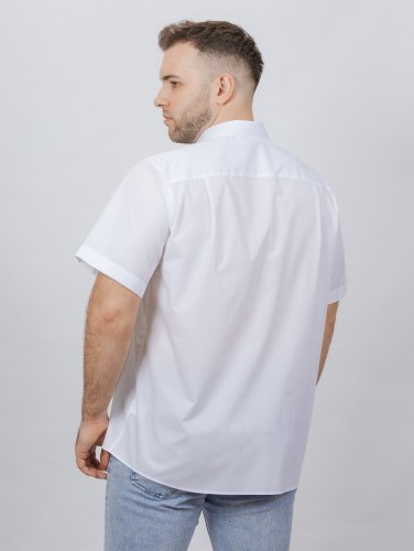Рубашка мужская Nadex Men's Shirts Collection 01-096723/132-25