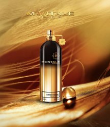 Montale Amber Musk