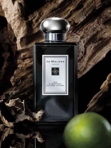 Jo Malone™ 'Oud & Bergamot' Cologne Intense 100ml