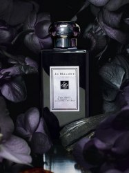 Jo Malone™ 'Dark Amber & Ginger Lily' Cologne Intense 100ml