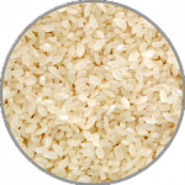 Рис баракат