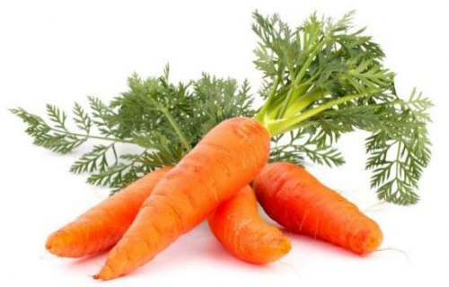 Морковь Крестьянское хозяйство