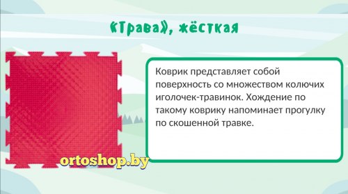 Коврик ОРТО "Трава Твёрдая" твёрдый элемент