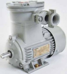 Мотор Siemens SIMOTICS XP 1MB0061