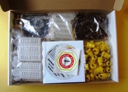 Система "Джентерский сот" для вывода пчелиных маток (обновление 2018) Германия