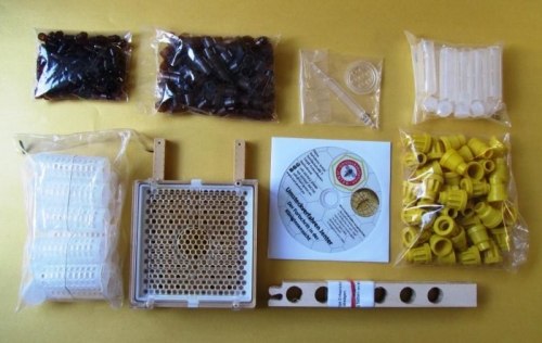 Система "Джентерский сот" для вывода пчелиных маток (обновление 2018) Германия