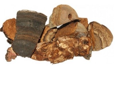 Топливо для дымаря гриб трутовик 0.5 кг