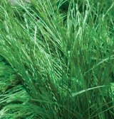Alize Decofur цвет 595 зеленая трава Alize 100% полиэстер, длина 110 м.