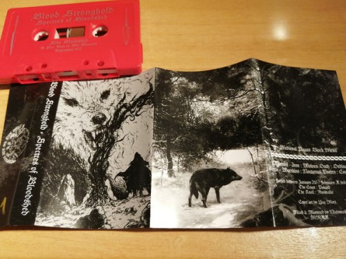 BLOOD STRONGHOLD - Spectres Of Bloodshed Tape Atmospheric Heathen Metal