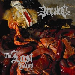 IMPALED - The Last Gasp CD Death Grind Metal