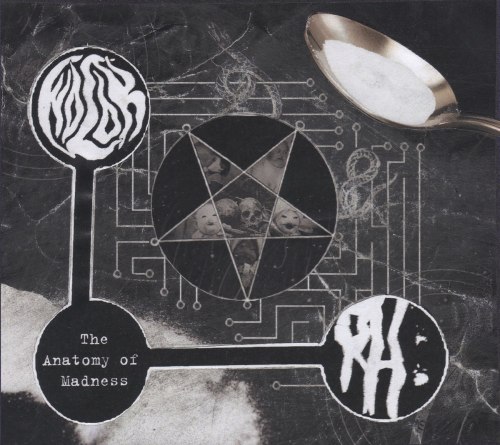 WOLOK / ROTTING HEAVEN - The Anatomy of Madness Digi-CD Experimental Metal