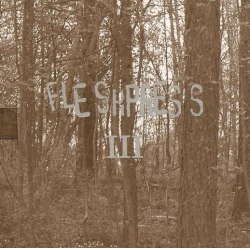 FLESHPRESS - III - The Art Of Losing All Digi-CD Sludge Metal