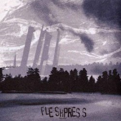 FLESHPRESS - Pillars Digi-CD Sludge Metal