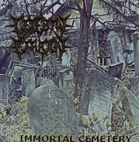 CEREBRAL EFFUSION / OFFALMINCER - Immortal Cemetery / Disemboweling Of Intestines CD Brutal Death Metal