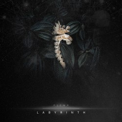 ПЛЕМЯ - Labyrinth CD Folk Metal