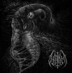 ILL OMEN - Divinity Through Un-Creation LP Black Metal
