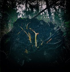AUKELS - Raynkaym CD Atmospheric Heathen Metal