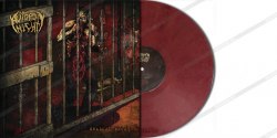 AUTOPSY NIGHT - Gradual Decay LP Brutal Death Metal