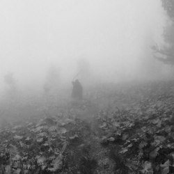 THAW - St. Phenome Alley Digi-CD Experimental Music