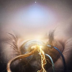 THE AGONIST - Eye Of Providence CD MDM
