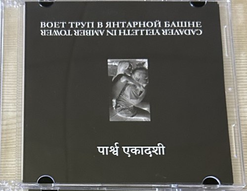 ВОЕТ ТРУП В ЯНТАРНОЙ БАШНЕ - Parsva Ekadashi CDr Experimental Music