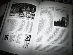 ВОЛКИ СРЕДИ ОВЕЦ: История и идеология национал-социалистического Black Metal (особые номера) Книга NS Metal