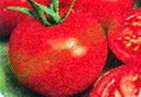 Семена томатов Брекодей (20 семян), 12 упаковок Семенаград оптовый