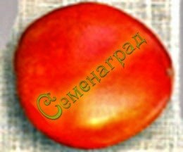 Семена томатов Русская тройка (20 семян), 12 упаковок Семенаград оптовый