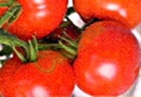 Семена томатов Кемеровский (20 семян), 12 упаковок Семенаград оптовый