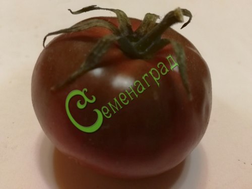 Семена томатов Чёрный айсберг - 20 семян, 12 упаковок Семенаград оптовый