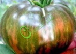 Семена томатов Стринги - 20 семян, 7 упаковок Семенаград оптовый