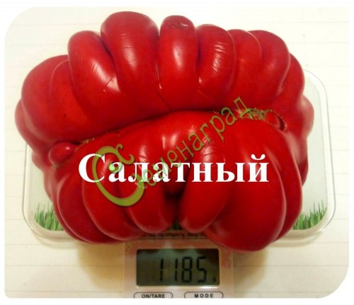 Семена почтой томат Салатный - 20 семян, 2 упаковки Семенаград оптовый