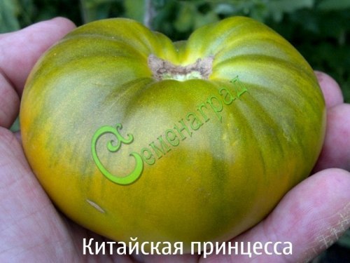 Семена почтой томат Китайская принцесса - 20 семян, 15 упаковок Семенаград оптовый