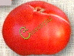 Семена томатов Египетский великан - 20 семян, 10 упаковок Семенаград оптовый