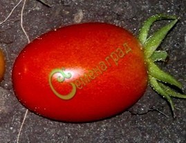 Семена томатов Дамские пальчики - 20 семян, 15 упаковок Семенаград оптовый