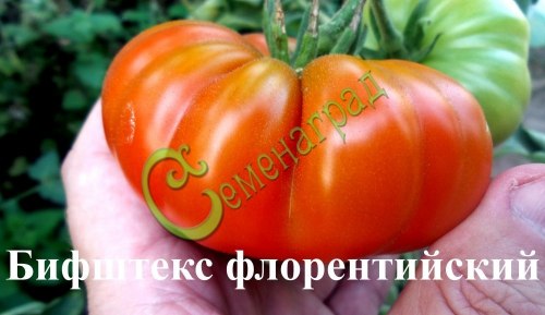 Семена томатов Бифштекс флорентийский, 20 семян, 8 упаковок Семенаград оптовый