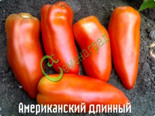 Семена почтой томат Американский длинный - 20 семян, 5 упаковок Семенаград оптовый