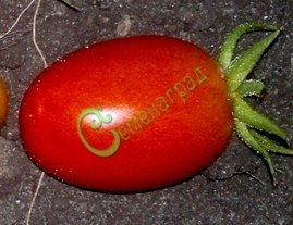Семена томатов Дамские пальчики - 20 семян
