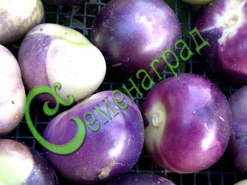Семена Физалис овощной фиолетовый - 30 семян, 12 упаковок Семенаград оптовый
