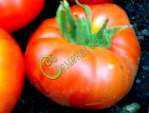 Семена томатов Супри - 20 семян Семенаград