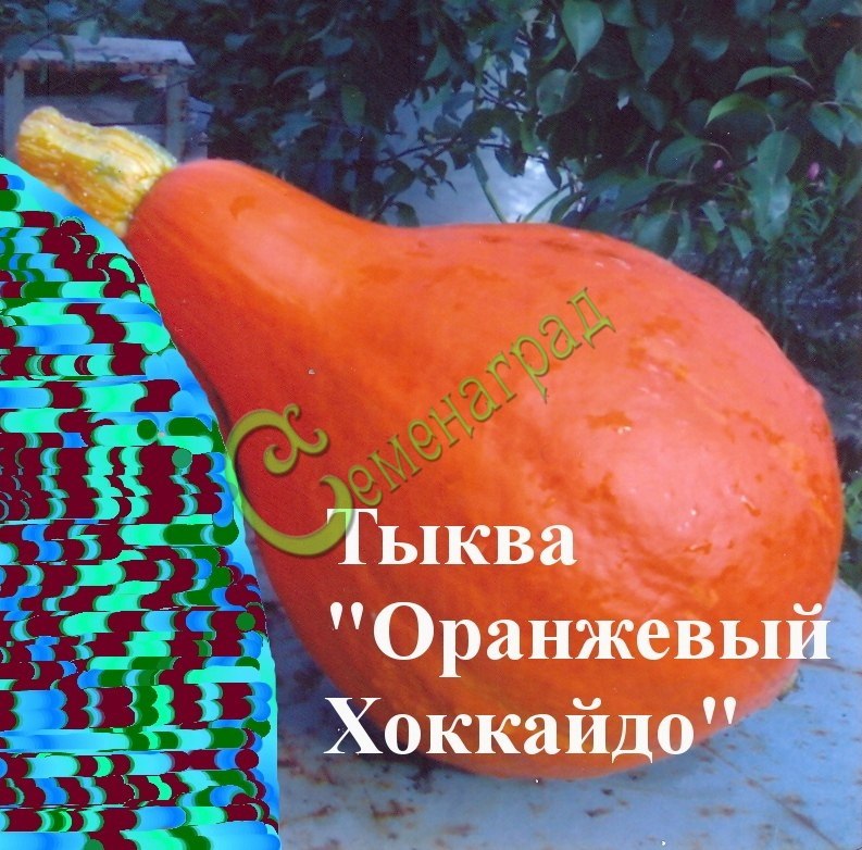 Market pochta ru семена законы рк о конопле