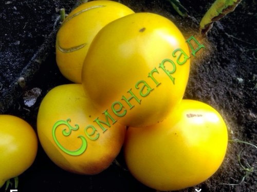 Семена томатов Бычье сердце желтый (20 семян)