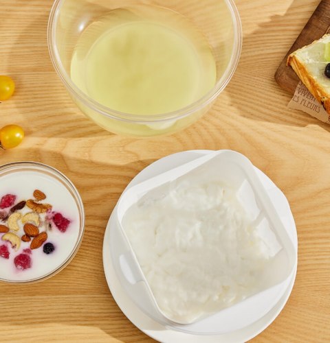 Пресс для приготовления мягкого сыра в домашних условиях (Япония) / арт. 257-80