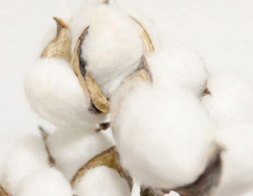 Покрывало из хлопка "Песчаные облака", 200*230 см. / арт. 279-43 Покрывало из хлопка "Песчаные облака", 200*230 см. / арт. 279-43