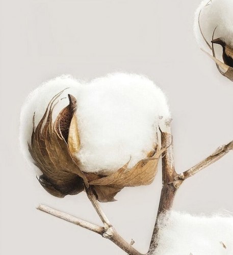 Одеяло тонкое "Клетка", 200*230 см. / арт. 279-7 Одеяло тонкое "Клетка", 200*230 см. / арт. 279-7