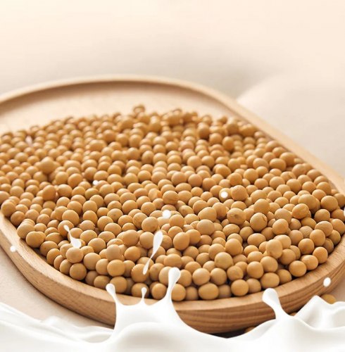 Подушка анатомическая с соевым наполнителем "Cotton Bean" (Коттон Бин) / арт. 288-20