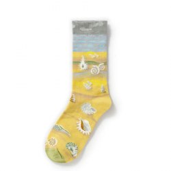 Носки женские / арт. 287-125