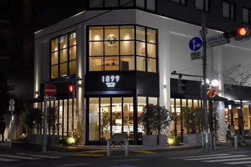 Подушка HOTEL 1899 TOKYO, 1150 гр. (Отель 1899 Токио) / арт. 287-41