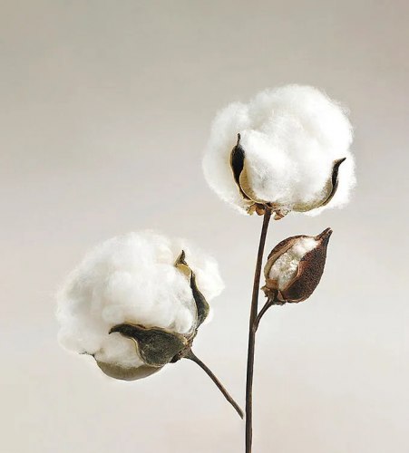 Плед полотенце из многослойной марли / арт. 289-31