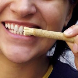 Палочка для чистки зубов Мисвак (зубная палочка, веточка, зубная щетка) / арт. 287-244